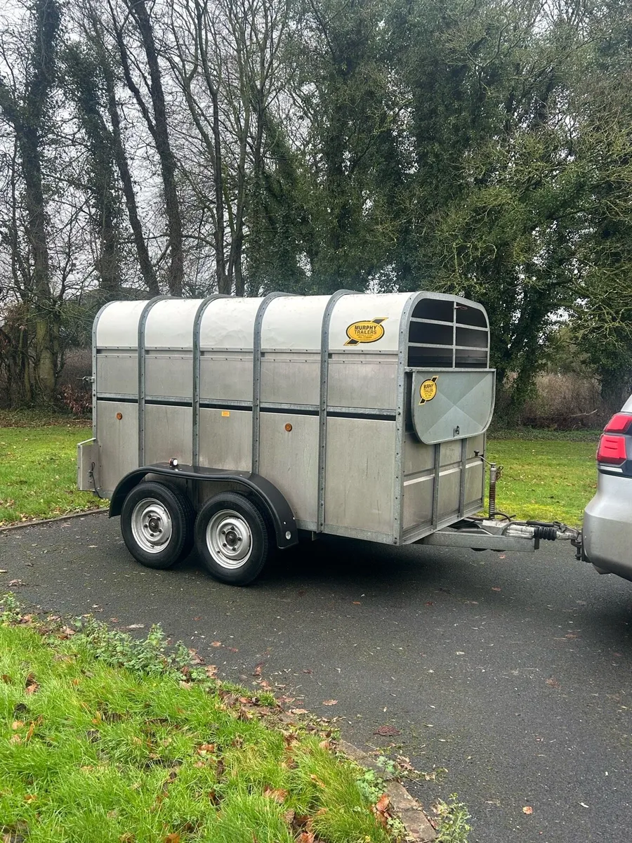 CATTLE BOX - Image 1