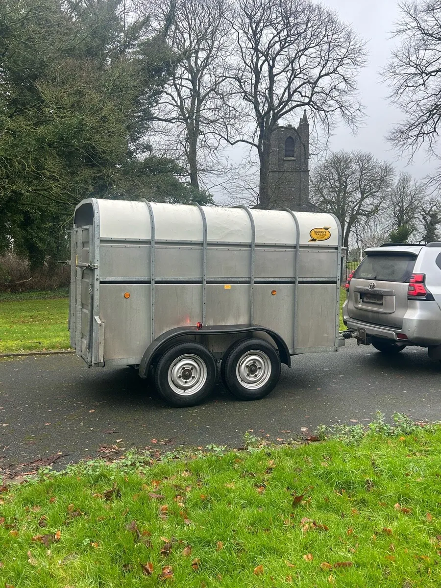 CATTLE BOX - Image 2