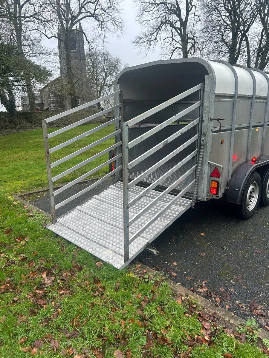 CATTLE BOX - Image 4