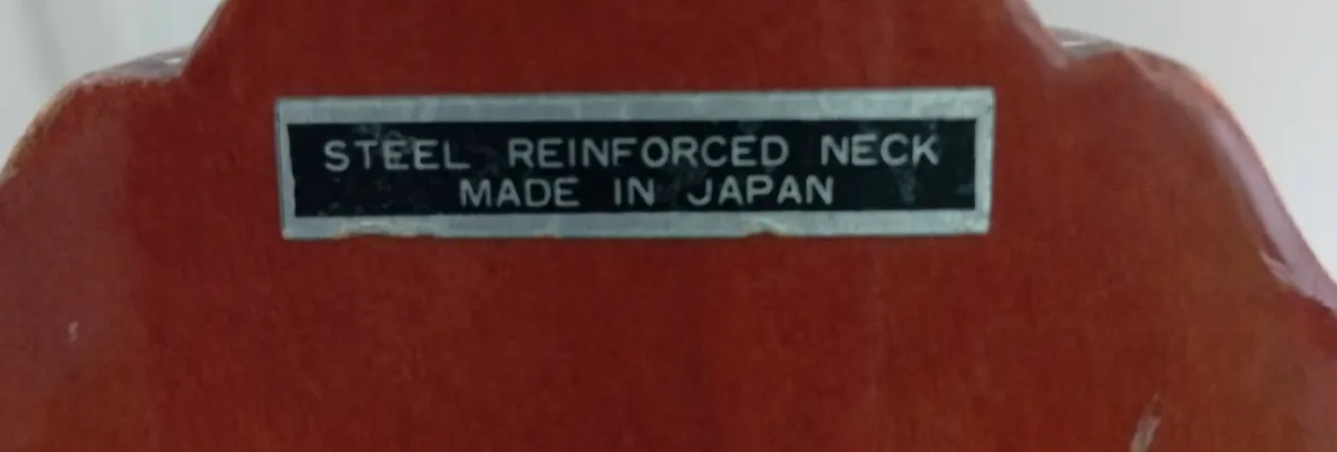 Guitar, travel case and beginner guitar book - Image 4