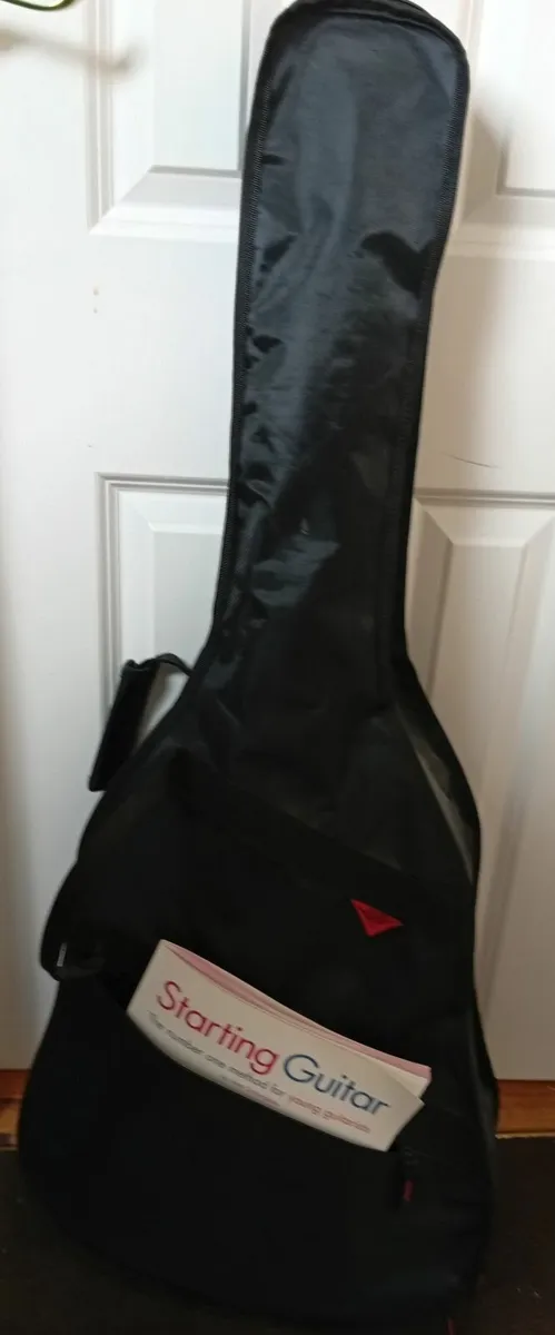 Guitar, travel case and beginner guitar book - Image 1