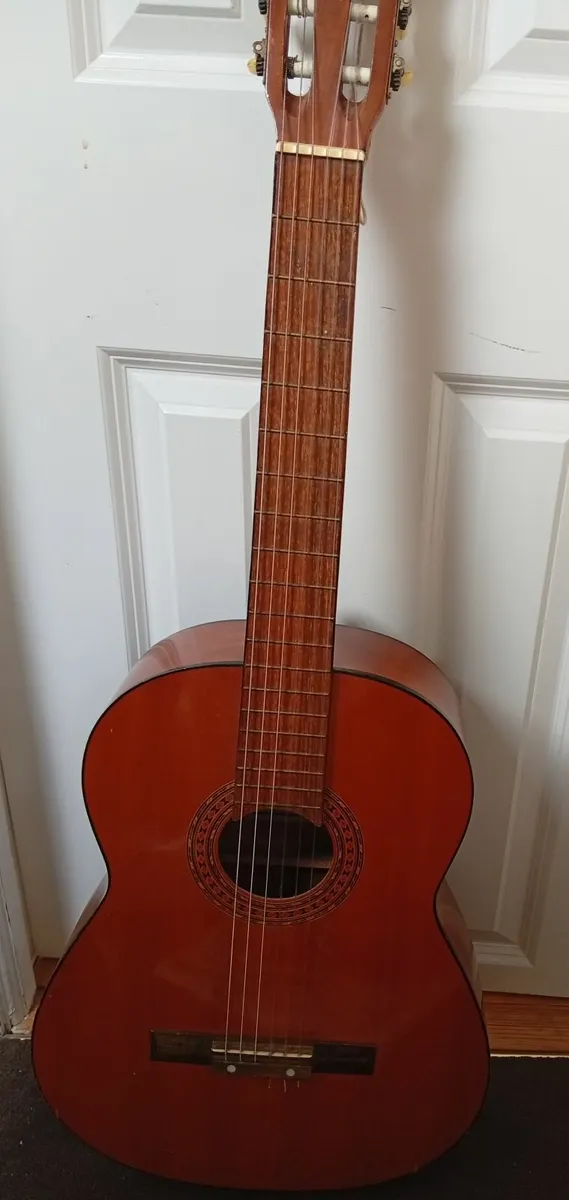 Guitar, travel case and beginner guitar book - Image 2