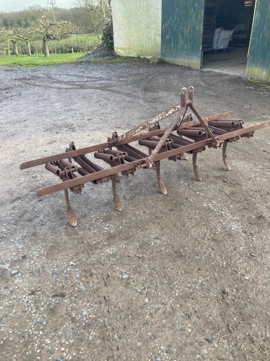 Massey Ferguson Springtine grubber - Image 1