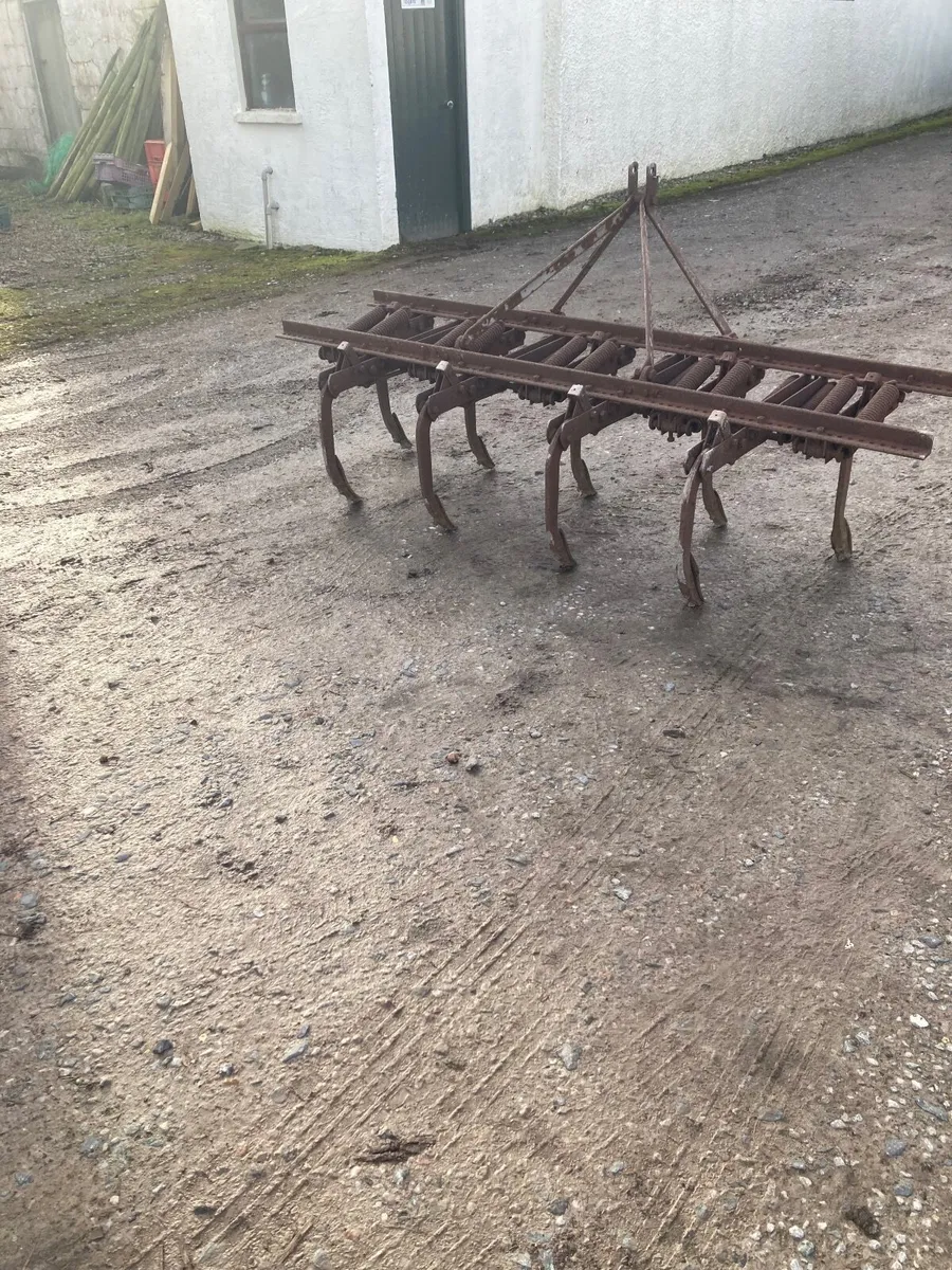 Massey Ferguson Springtine grubber - Image 3