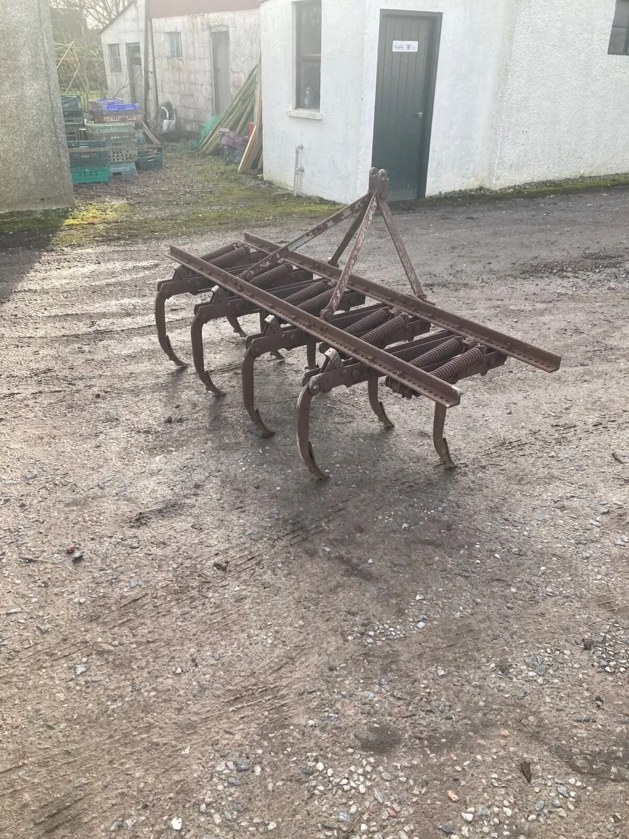 Massey Ferguson Springtine grubber - Image 4