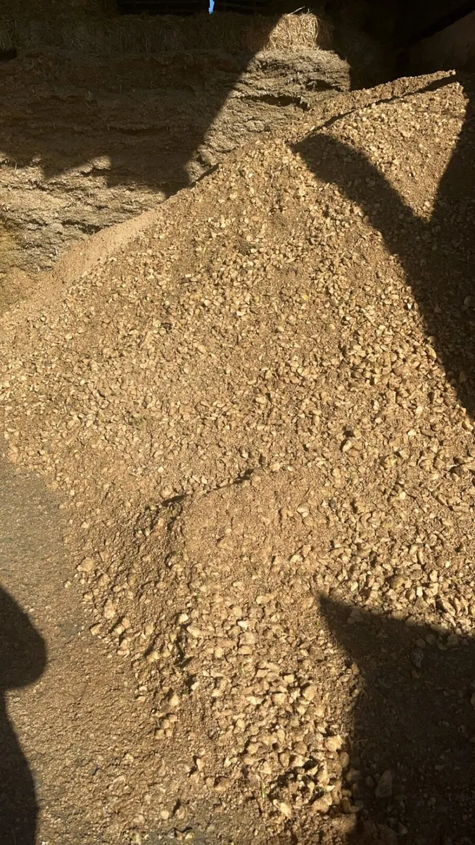 Beet and maize - Image 2