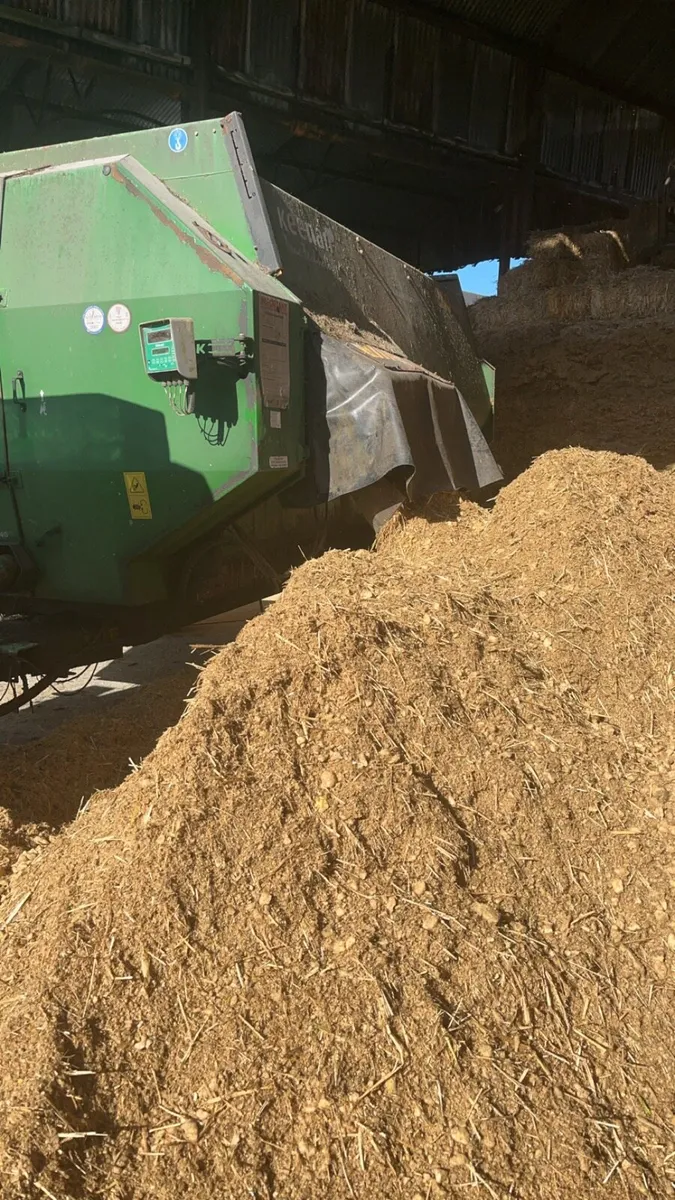 Beet and maize - Image 1