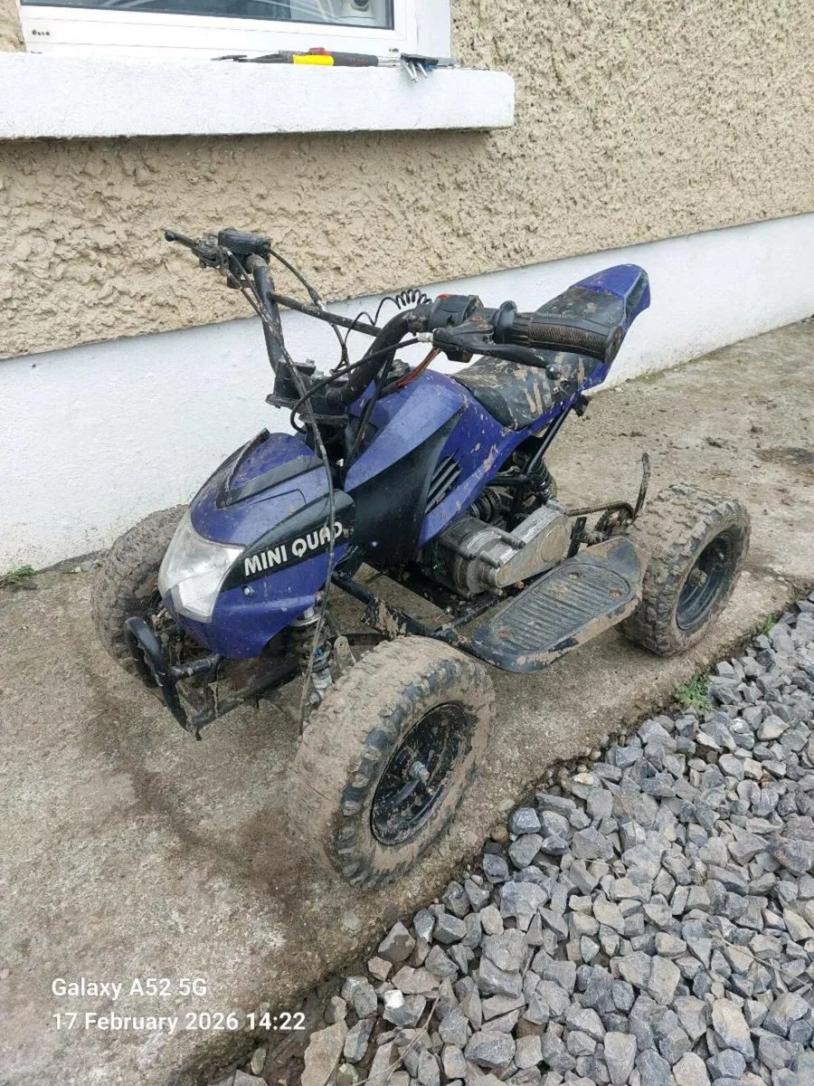 Kids Quad & Dirtbikes - Image 1