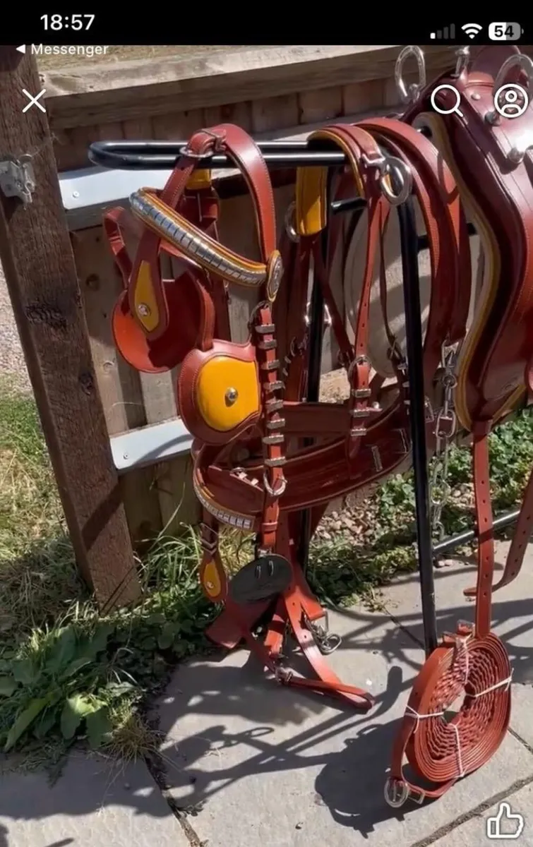 Cob Harness - Image 1