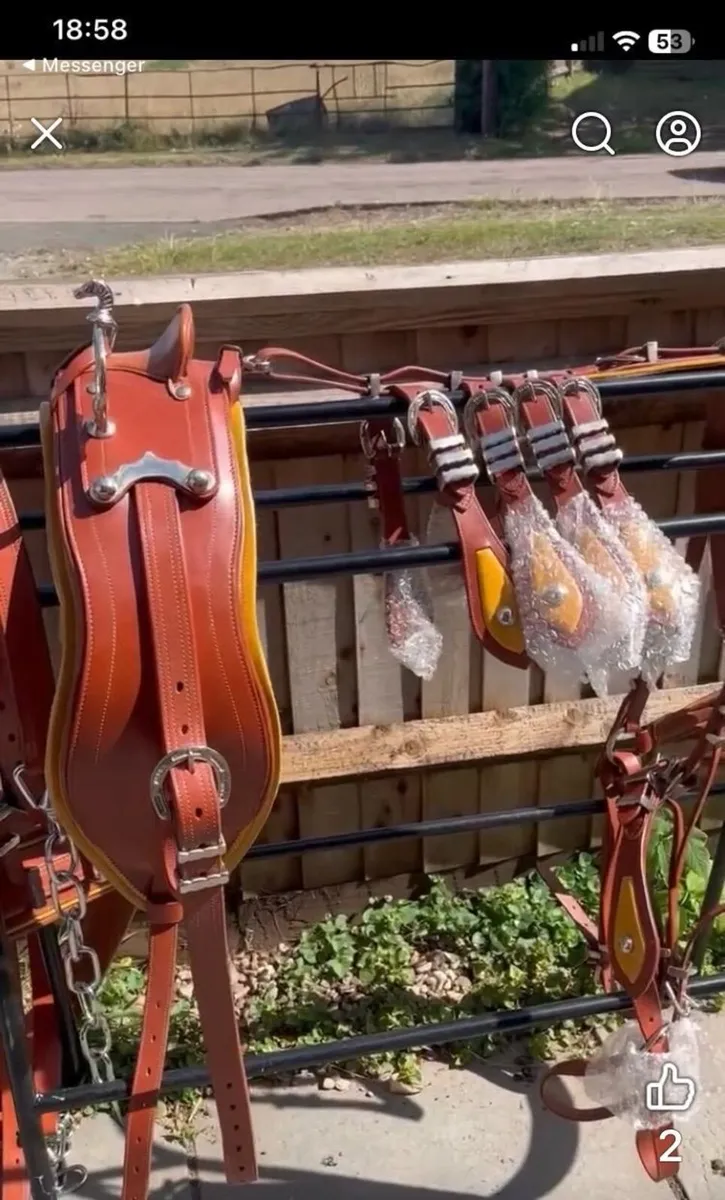 Cob Harness - Image 2