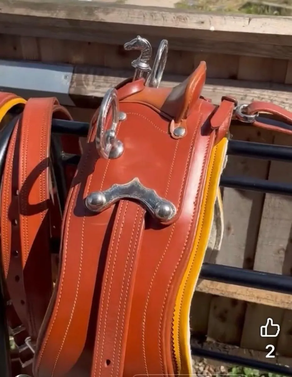 Cob Harness - Image 4