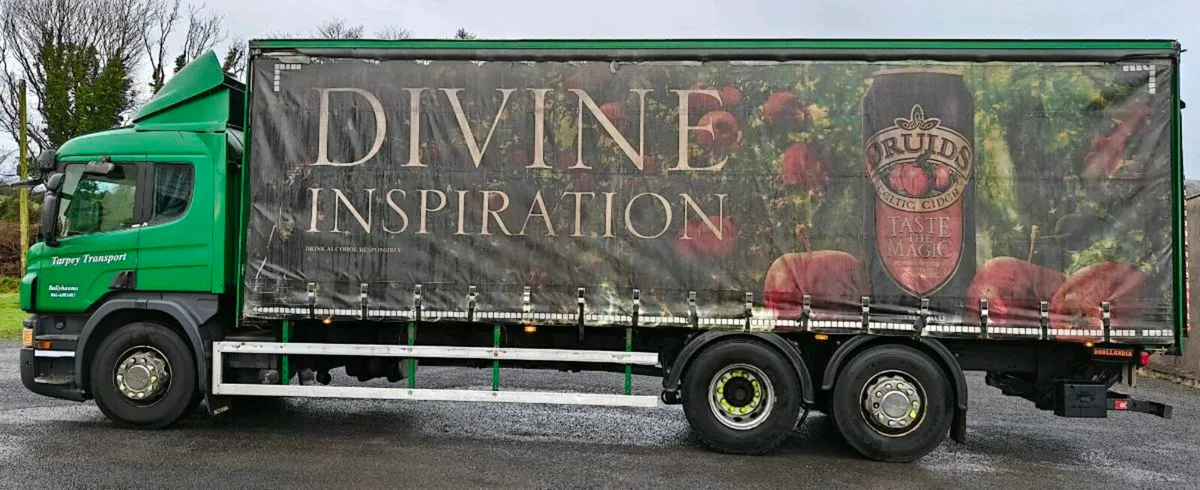 2013 Scania P320 Curtainside - Image 3