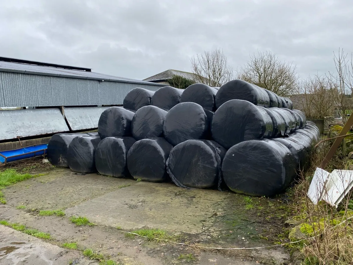 Silage Bales - Image 1
