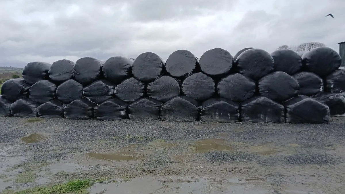 Silage bales - Image 1