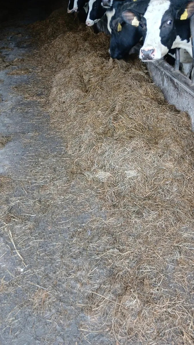 Silage bales - Image 2