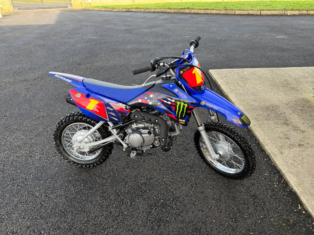 2025 Yamaha TTR 110 - Image 1