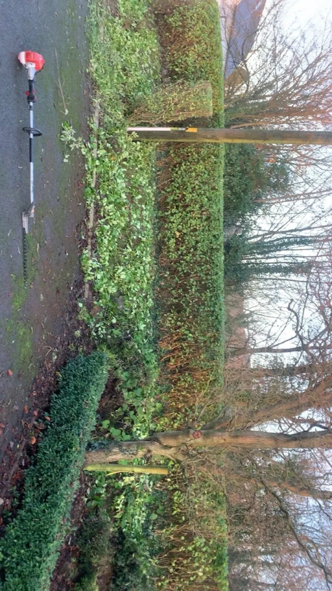 Landscaping services for 2026 - Image 2