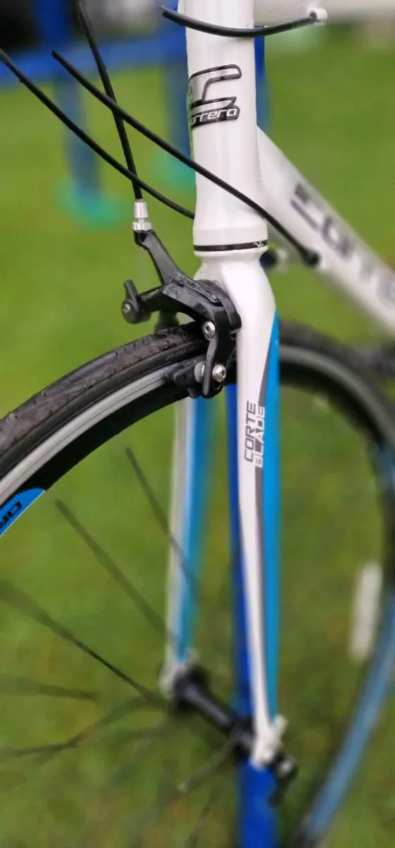 CARRERA VIRTUOSO - Image 3