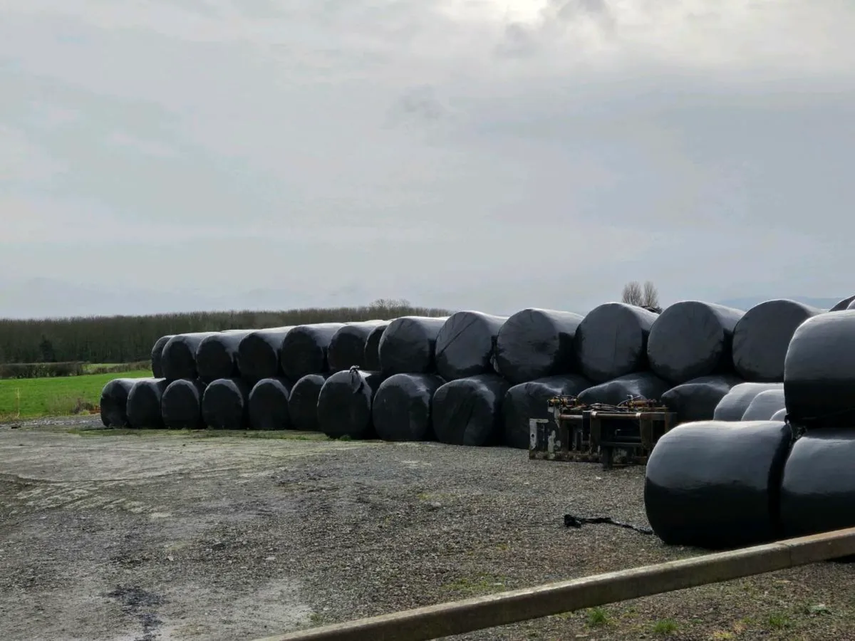 Top quality 1st and second cut silage - Image 2