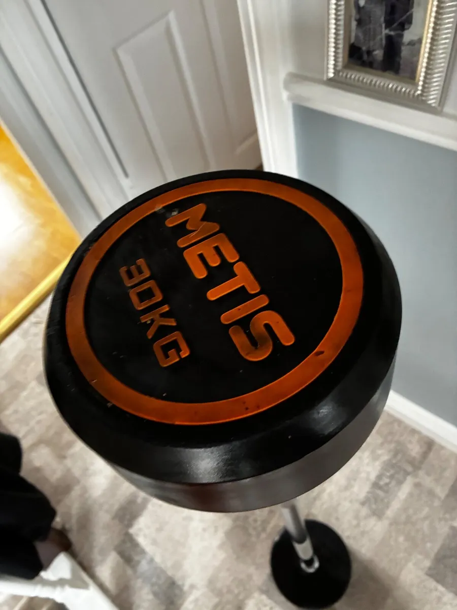 30kg Barbell - 25kg plate - Image 1