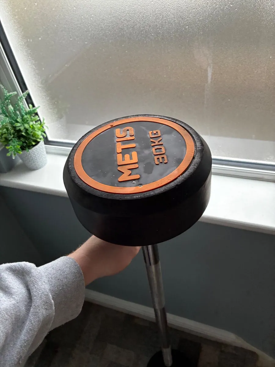 30kg Barbell - 25kg plate - Image 2