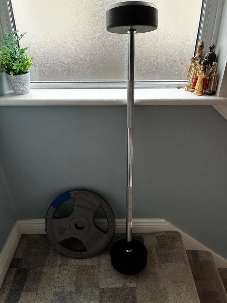 30kg Barbell - 25kg plate - Image 4