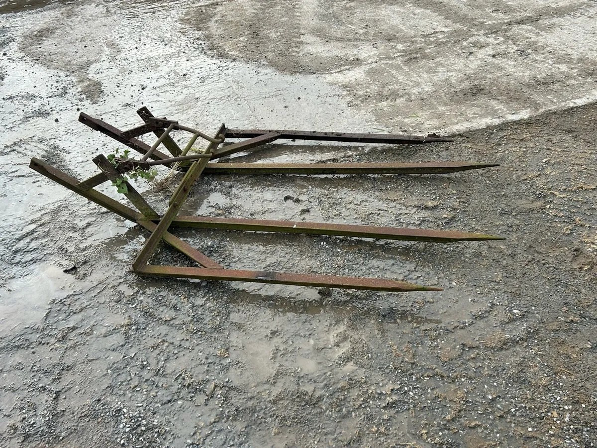 Vintage bukrake and spike harrow - Image 1