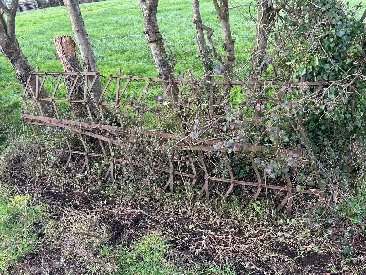 Vintage bukrake and spike harrow - Image 2