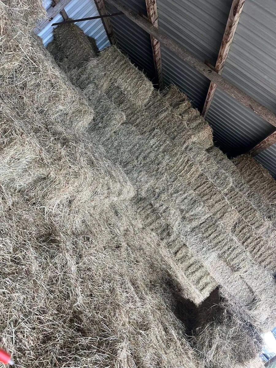 Small square bales of hay