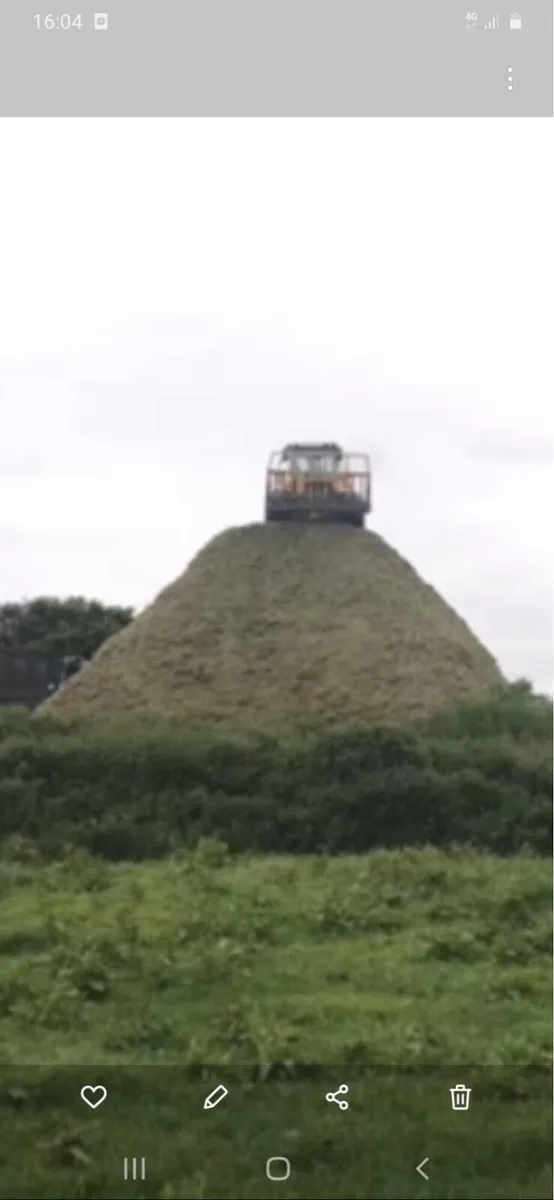 Pit silage - Image 1