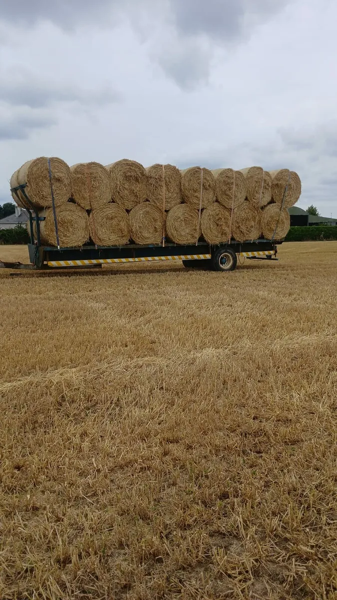 Quality straw for horses