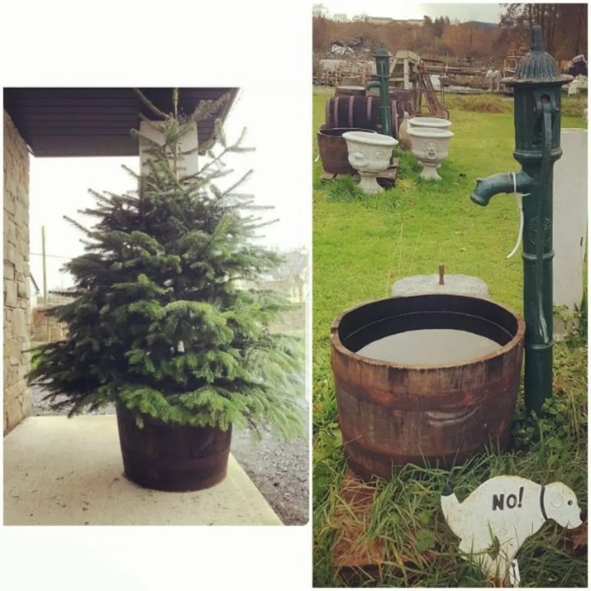 Whiskey Barrels – Half - Image 3