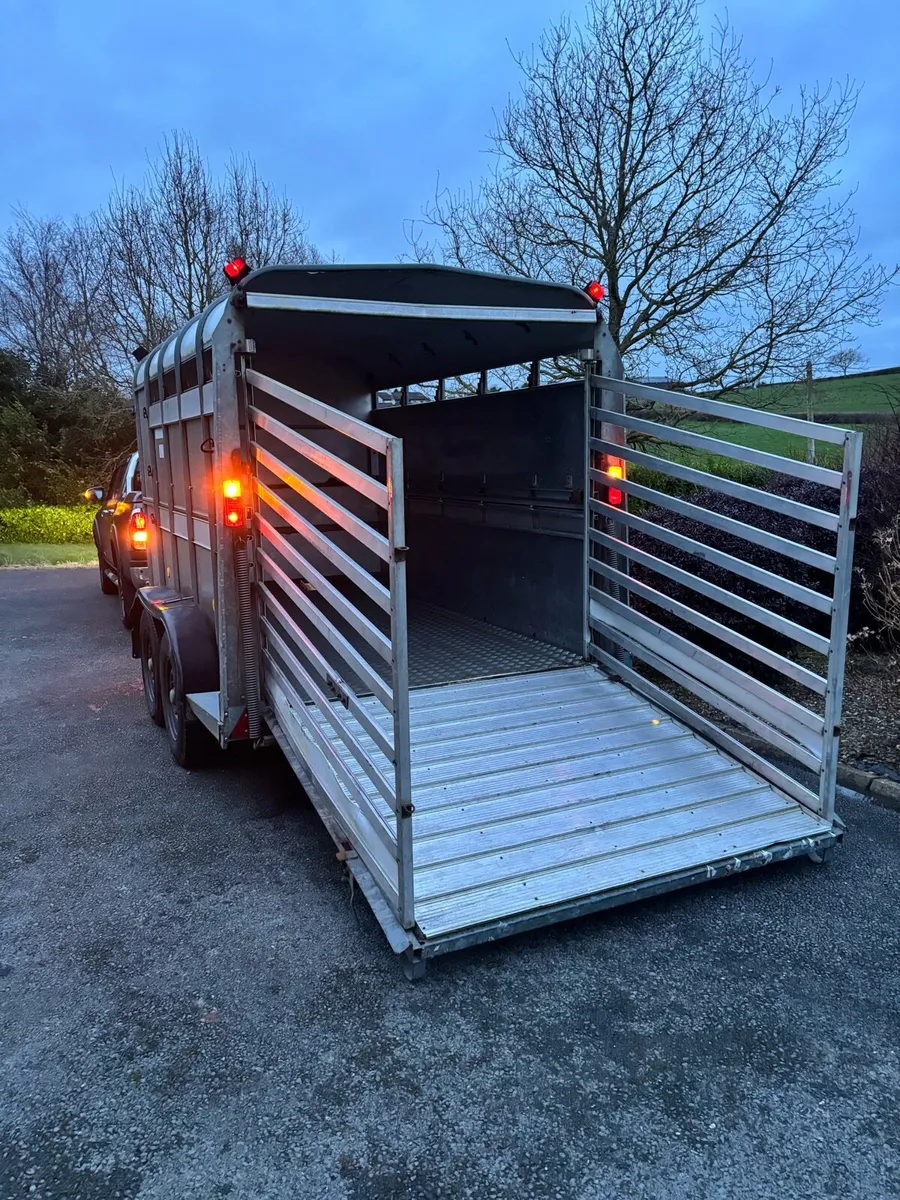 Ifor williams 10x6 cattle box - Image 3