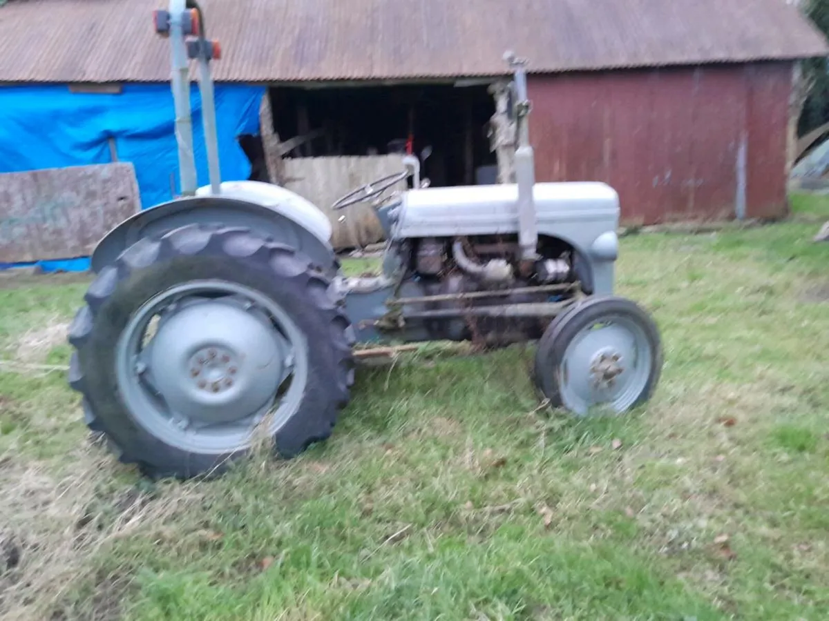 diesel 20 for sale - Image 4