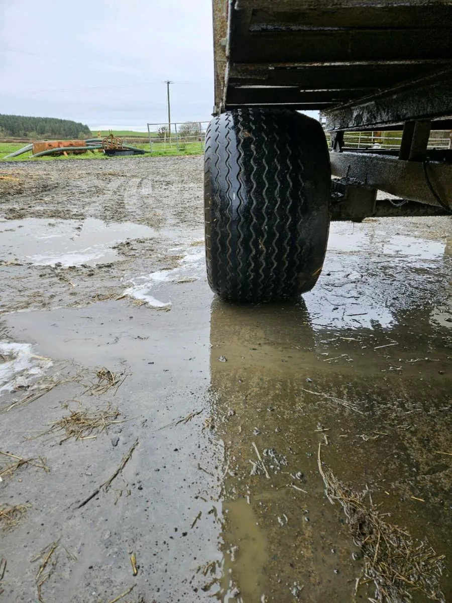 Silage trailer - Image 3