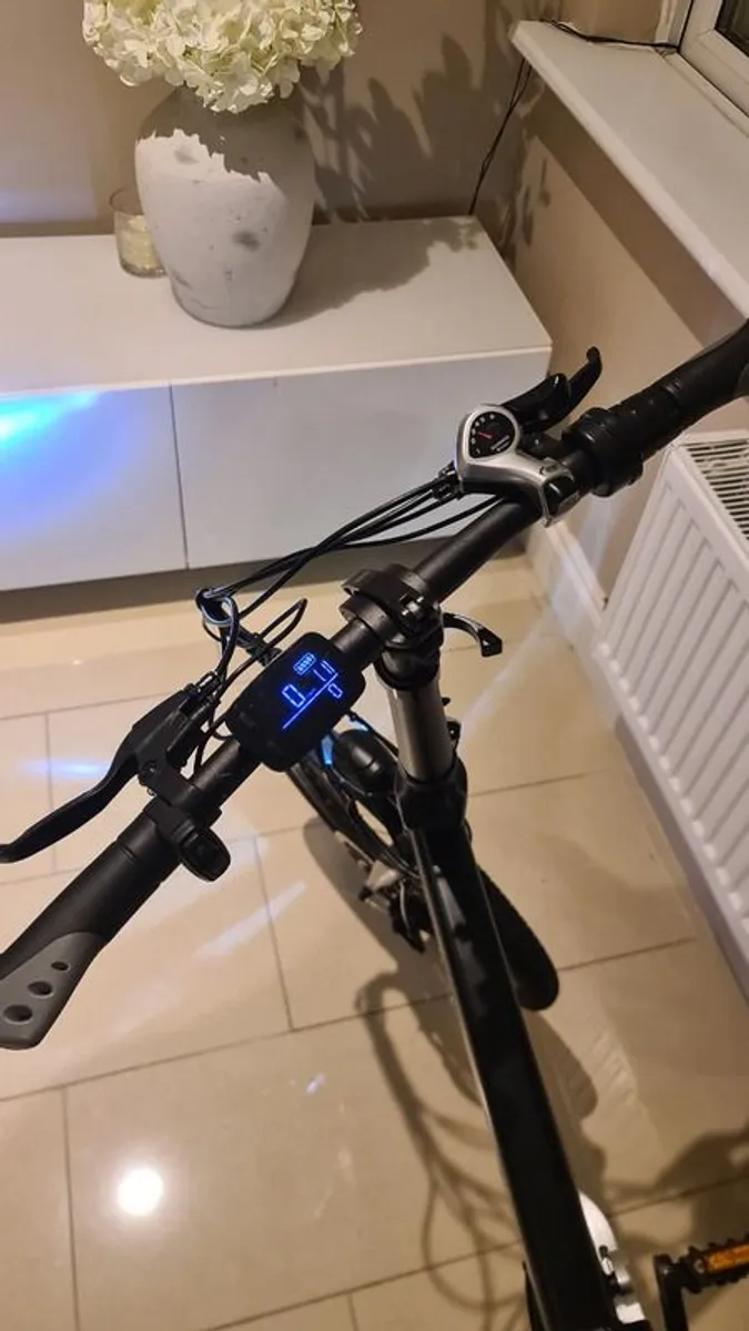 Fiido D4 Working 100% - MINT Condition electric bike - Image 2
