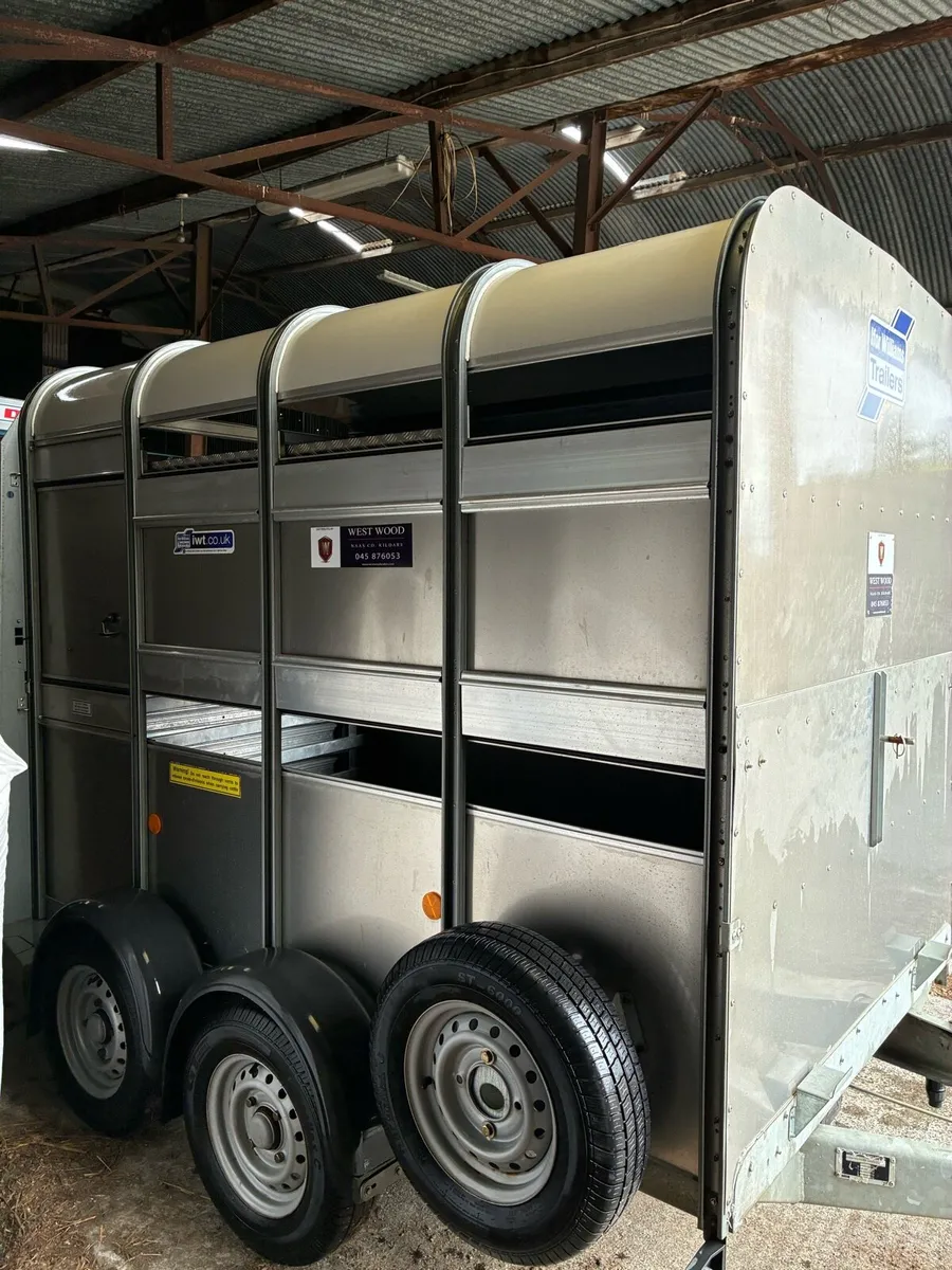 Ifor Williams 8x5 - Image 2