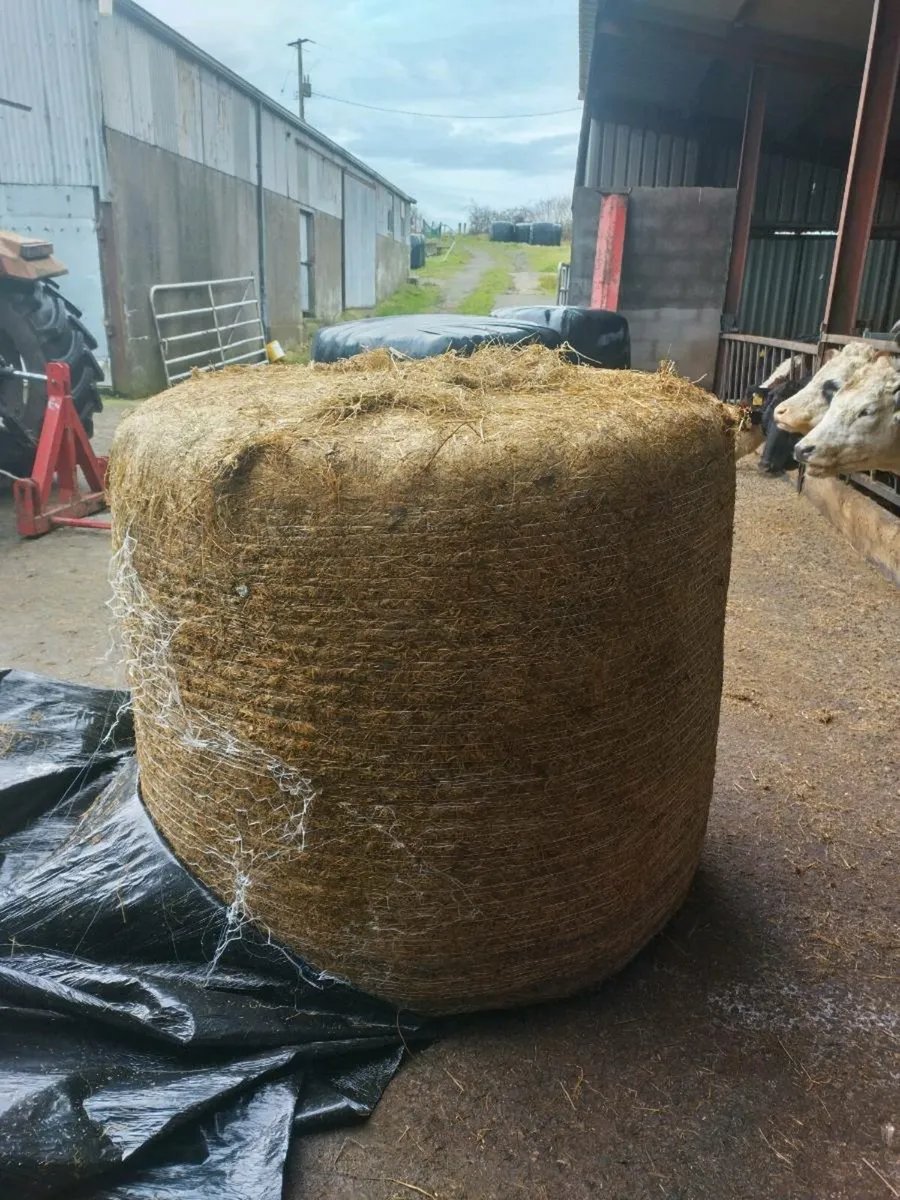 Good quality round bale silage. 30 bales for sale - Image 3