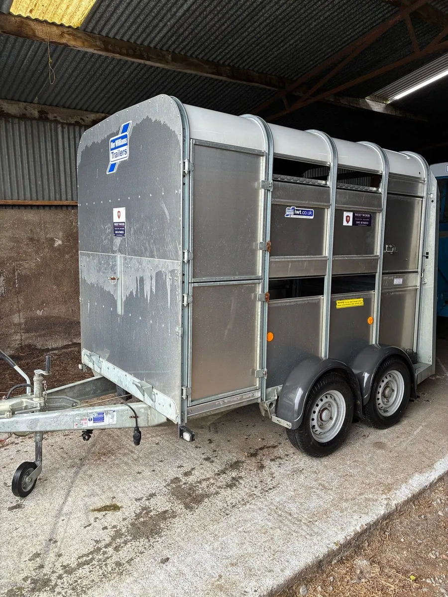 Ifor Williams 8x5 - Image 3
