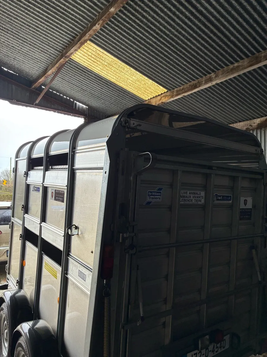 Ifor Williams 8x5 - Image 4