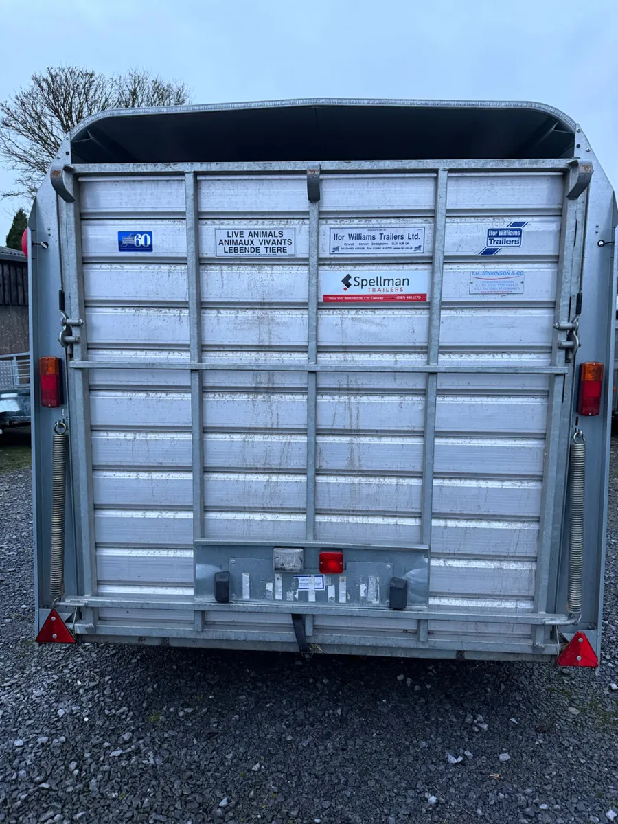 Ifor Williams livestock trailer - Image 3