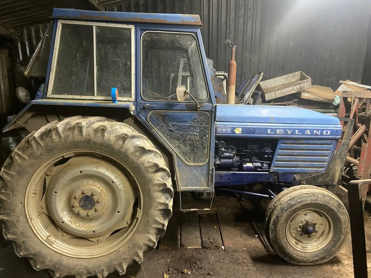 Leyland 255 - Image 2