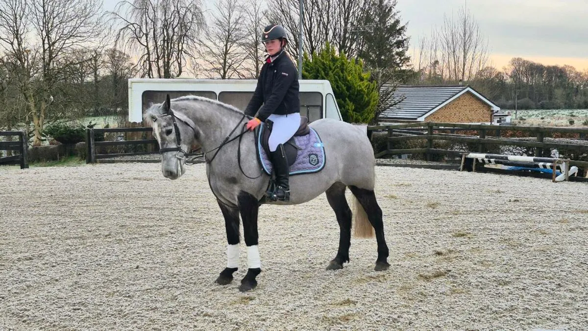 Friday 20th  sale - Image 2