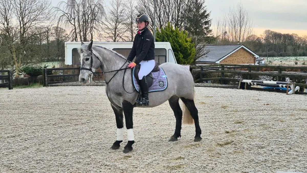 Friday 20th  sale - Image 1