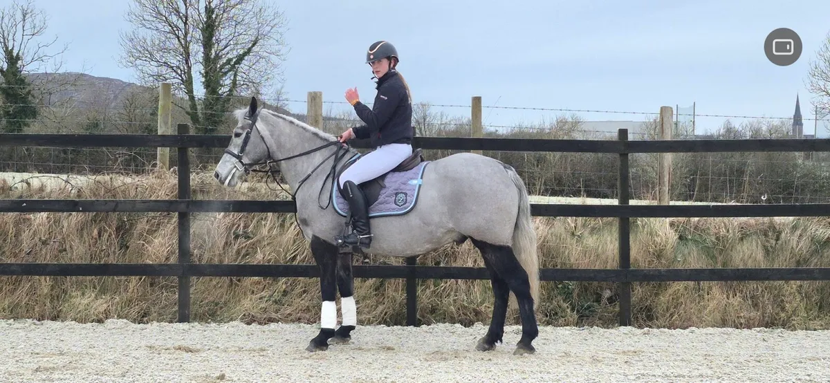 Friday 20th  sale - Image 3