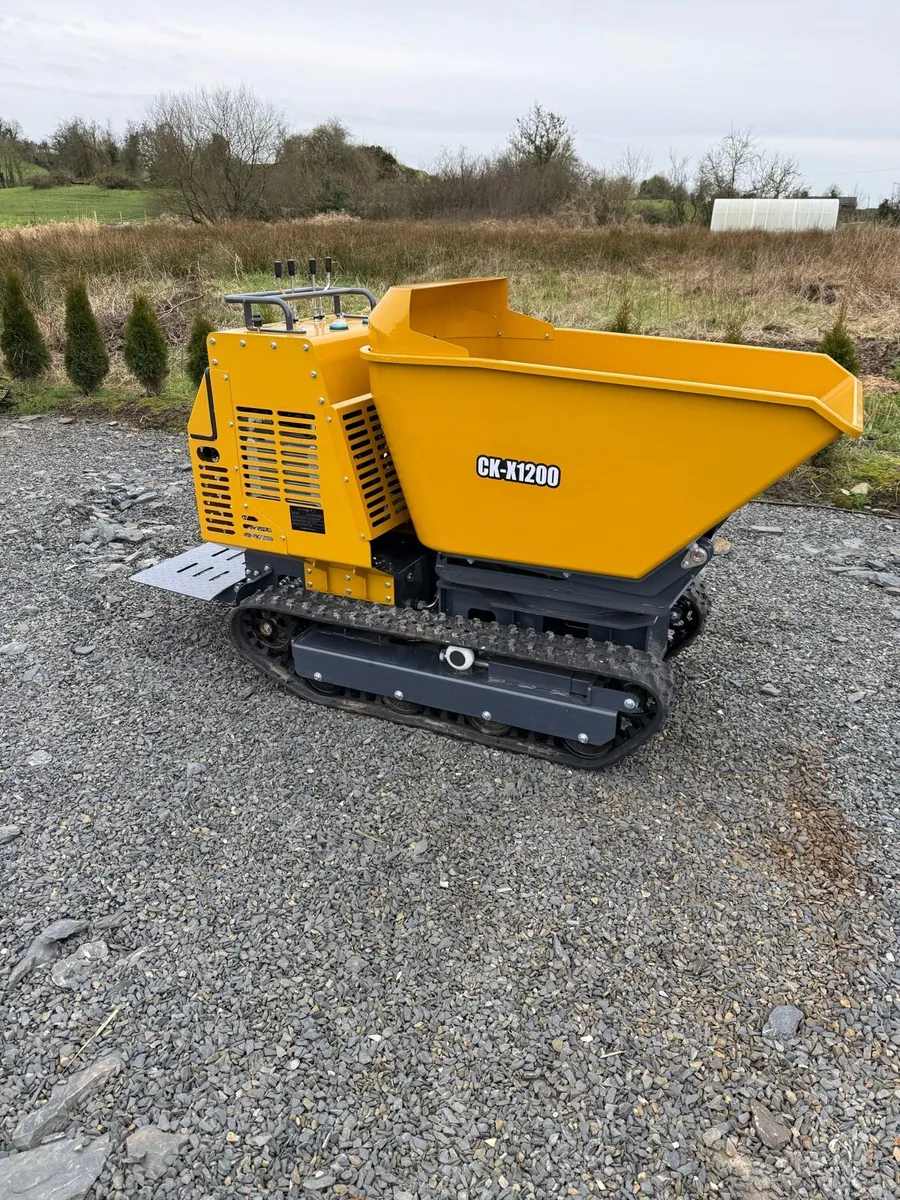 mini dumper diesel. new - Image 4