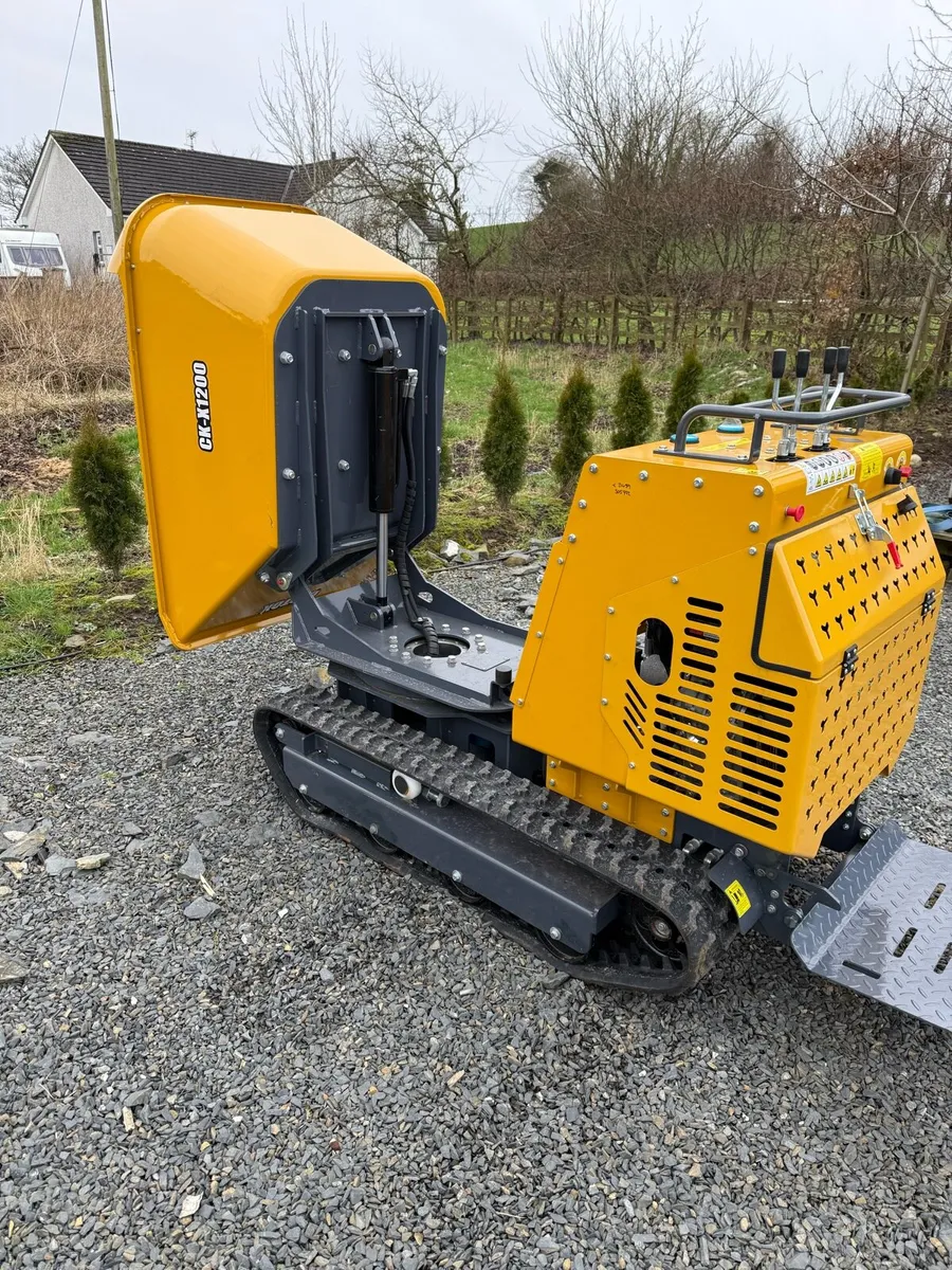 mini dumper diesel. new - Image 2