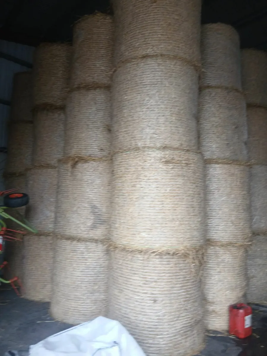 Bales straw - Image 1