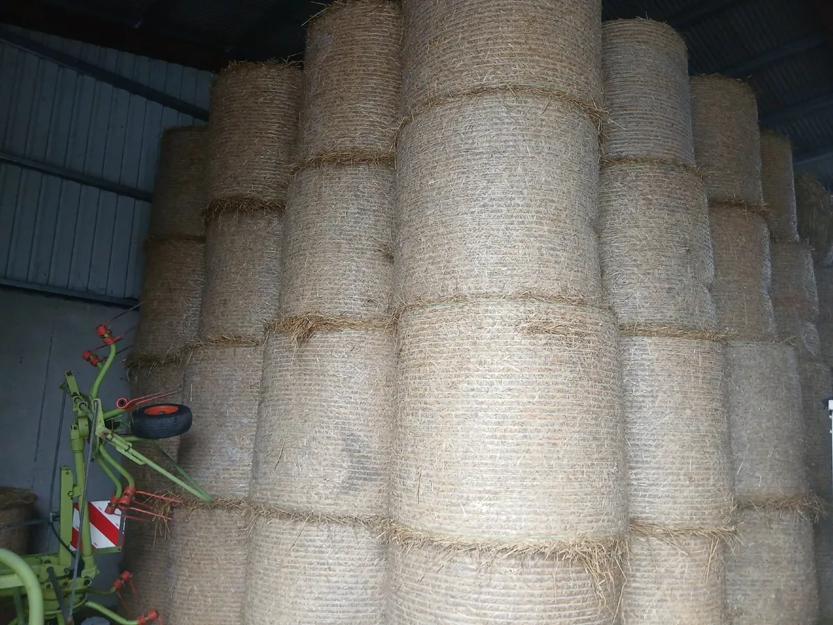 Bales straw - Image 2