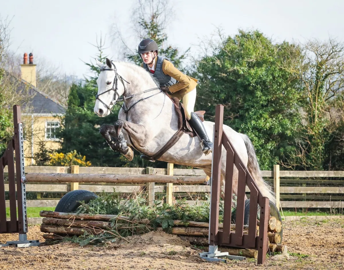 143 Connemara - Image 4